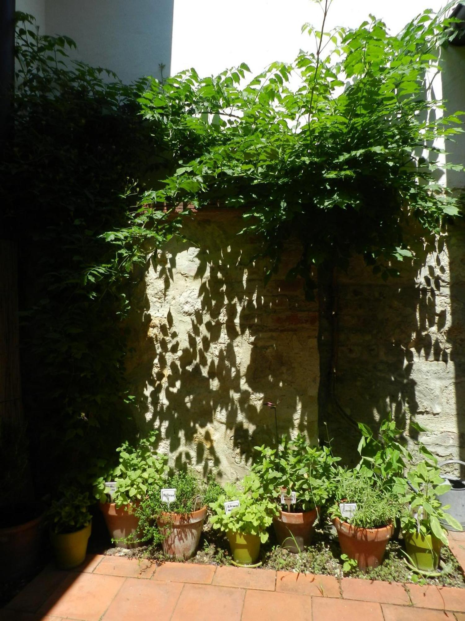 Casa.Peiso Apartment Moerbisch Am See Exterior photo